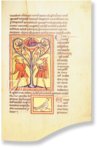 Oxford Bestiary – Ms. Ashmole 1511 – Bodleian Library (Oxford, United Kingdom) Facsimile Edition