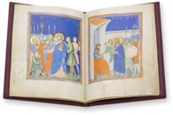 Pacino di Bonaguida’s Picture Book – Müller & Schindler – MS M.643 – The Morgan Library & Museum (New York, USA)