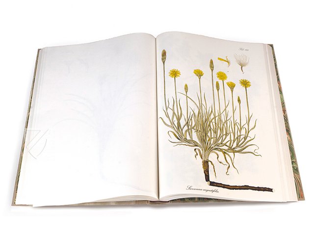Paul Kitaibel: Descriptiones Et Icones Plantarum Rariorum Hungariae Facsimile Edition