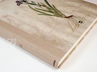 Paul Kitaibel: Descriptiones Et Icones Plantarum Rariorum Hungariae – Pytheas Books – Biblioteca Palatina (Parma, Italy)