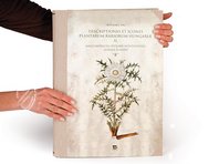 Paul Kitaibel: Descriptiones Et Icones Plantarum Rariorum Hungariae – Pytheas Books – Biblioteca Palatina (Parma, Italy)
