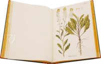 Paul Kitaibel: Descriptiones Et Icones Plantarum Rariorum Hungariae – Pytheas Books – 