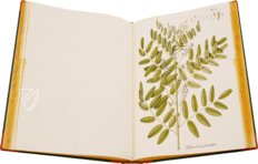 Paul Kitaibel: Descriptiones Et Icones Plantarum Rariorum Hungariae – Pytheas Books – 