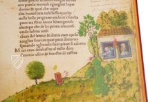 Petrarca Queriniano  – Salerno Editrice – INC. G V 15 – Biblioteca Queriniana (Brescia, Italy)