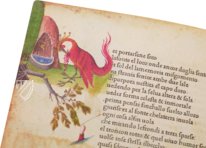 Petrarca Queriniano  – Salerno Editrice – INC. G V 15 – Biblioteca Queriniana (Brescia, Italy)