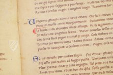 Petrarch's Poems – Editrice Antenore – Vat. lat. 3195 – Biblioteca Apostolica Vaticana (Vatican City, Vatican City State)