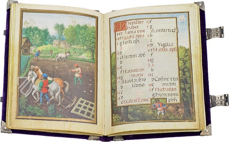 Ploughing and sowing winter rye (left), gathering acorns for pigs (right), labors of the month for September (Simon Bening's Flemish Calendar, Bruges, Belgium — 1520–1525)