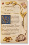 Prayer Book of Elector Maximilian I of Bavaria – Coron Verlag – Clm 23640 – Bayerische Staatsbibliothek (Munich, Germany)