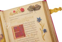 Prayer Book of Elector Maximilian I of Bavaria – Müller & Schindler – Clm 23640 – Bayerische Staatsbibliothek (Munich, Germany)