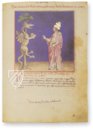 Predictions of the Popes – Belser Verlag – Vat. Ross. 374 – Biblioteca Apostolica Vaticana (Vatican City, Vatican City State)