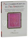 Purple Passion of Fra Angelico – Patrimonio Ediciones – Fogg Art Museum (Cambridge MA, USA)