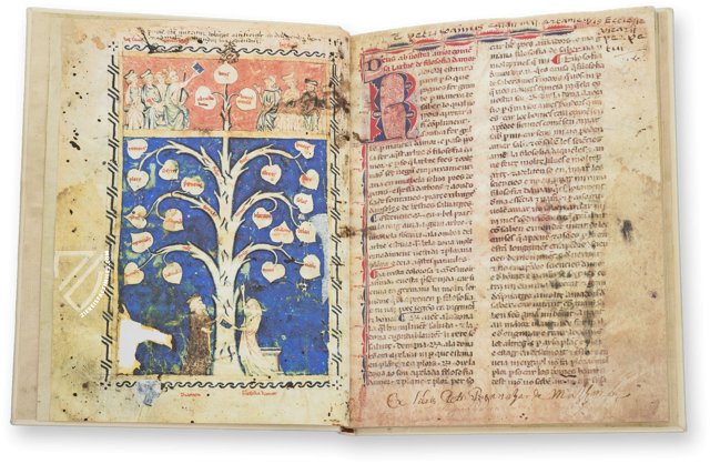 Ramon Llull's Tree of the Philosophy of Love – Millennium Liber – F-129 – Biblioteca Diocesana de Mallorca (Palma de Mallorca, Spain)