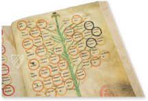 Ramon Llull's Tree of the Philosophy of Love – Millennium Liber – F-129 – Biblioteca Diocesana de Mallorca (Palma de Mallorca, Spain)