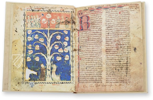 Ramon Llull's Tree of the Philosophy of Love – Millennium Liber – F-129 – Biblioteca Diocesana de Mallorca (Palma, Spain)