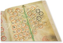Ramon Llull's Tree of the Philosophy of Love – Millennium Liber – F-129 – Biblioteca Diocesana de Mallorca (Palma, Spain)