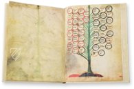 Ramon Llull's Tree of the Philosophy of Love – Millennium Liber – F-129 – Biblioteca Diocesana de Mallorca (Palma, Spain)