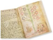 Ramon Llull's Tree of the Philosophy of Love – Millennium Liber – F-129 – Biblioteca Diocesana de Mallorca (Palma, Spain)