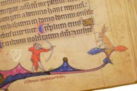 Ramsey Psalter – Akademische Druck- u. Verlagsanstalt (ADEVA) – Cod. 58/1
MS. M.302 – Stift St. Paul Bibliothek (Lavanttal, Austria)