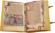 Ramsey Psalter – Akademische Druck- u. Verlagsanstalt (ADEVA) – Cod. 58/1
MS. M.302 – Stift St. Paul Bibliothek (Lavanttal, Austria)