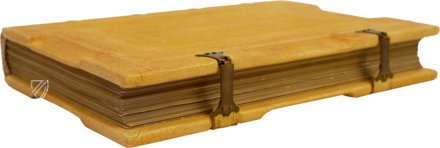 Ramsey Psalter – Akademische Druck- u. Verlagsanstalt (ADEVA) – Cod. 58/1
MS. M.302 – Stift St. Paul Bibliothek (Lavanttal, Austria)