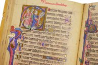 Ramsey Psalter β Akademische Druck- u. Verlagsanstalt (ADEVA) β Cod. 58/1
MS. M.302 β Stift St. Paul Bibliothek (Lavanttal (Carinthia), Austria) Ramsey Psalter β Akademische Druck- u. Verlagsanstalt (ADEVA) β Cod. 58/1
MS. M.302 β Stift St. Paul Bibliothek (Lavanttal (Carinthia), Austria)