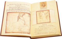 Resta Codex – Vallecchi – Biblioteca Ambrosiana (Milan, Italy)