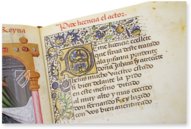 Rhyme of the Conquest of Granada – Edilan – 604 (1339)-XIV-D-14 – Bibliothèque et Archives du Château (Chantilly, France)