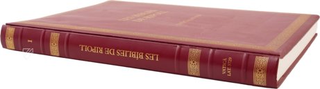 Ripoll Bible – Biblioteca Apostolica Vaticana – Vat.lat. 5729 – Biblioteca Apostolica Vaticana (Vatican City, Vatican City State)