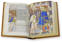 Rohan Hours – AyN Ediciones – Ms. Lat. 9471 – Bibliothèque nationale de France (Paris, France)