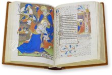 Rohan Hours – AyN Ediciones – Ms. Lat. 9471 – Bibliothèque nationale de France (Paris, France)