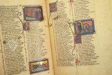 Roman de la Rose of Berthaud d'Achy – Belser Verlag – Urb. lat. 376 – Biblioteca Apostolica Vaticana (Vatican City, State of the Vatican City)