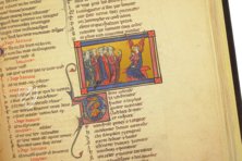 Roman de la Rose of Berthaud d'Achy – Belser Verlag – Urb. lat. 376 – Biblioteca Apostolica Vaticana (Vatican City, State of the Vatican City)