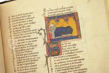 Roman de la Rose of Berthaud d'Achy – Belser Verlag – Urb. lat. 376 – Biblioteca Apostolica Vaticana (Vatican City, State of the Vatican City)