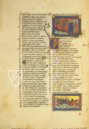 Roman de la Rose of Berthaud d'Achy – Belser Verlag – Urb. lat. 376 – Biblioteca Apostolica Vaticana (Vatican City, State of the Vatican City)