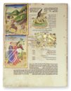 Rothschild Haggadah – Facsimile Editions Ltd. – Israel Museum (Jerusalem, Israel)