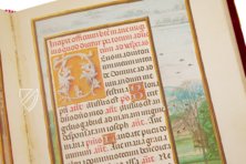 Rothschild Hours – Akademische Druck- u. Verlagsanstalt (ADEVA) – ex Codex Vindobonensis S. n. 2844 – Private Collection