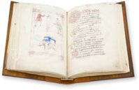 Sacramentary of Warmund – Priuli & Verlucca, editori – Ms. 31 (LXXXVI) – Biblioteca Capitolare di Ivrea (Ivrea, Italy)