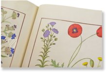 Saint Petersburg Book of Simple Medicines – M. Moleiro Editor – FP. Fv VI #1 – National Library of Russia (St. Petersburg, Russia)