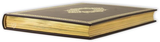 Saint Petersburg Book of Simple Medicines – M. Moleiro Editor – FP. Fv VI #1 – National Library of Russia (St. Petersburg, Russia)