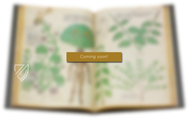 Salamanca Dioscorides – Ediciones Universidad de Salamanca – MS 2659 – Biblioteca de la Universidad de Salamanca (Salamanca, Spain)