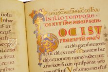 Salzburg Pericopes – Faksimile Verlag – Clm 15713 – Bayerische Staatsbibliothek (Munich, Germany)