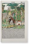 Schedel's World Chronicle Facsimile Edition