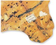 Sea Map of Iehuda Ben Zara – Belser Verlag – Borg. VII – Biblioteca Apostolica Vaticana (Vatican City, Vatican City State)