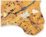 Sea Map of Iehuda Ben Zara – Belser Verlag – Borg. VII – Biblioteca Apostolica Vaticana (Vatican City, Vatican City State)