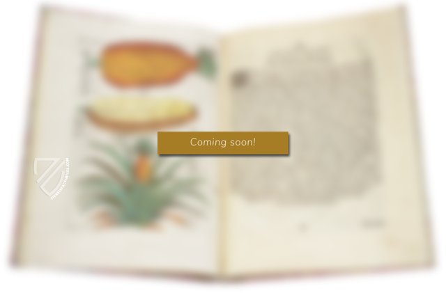 Selected Masterpieces of Michelangelo – Faksimile Verlag – Several Owners