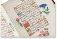 Simon Bening's Flowers Book of Hours – Faksimile Verlag – Clm 23637 – Bayerische Staatsbibliothek (Munich, Germany)