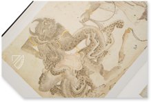 Siyah Qalem - The Black Pen – Akademische Druck- u. Verlagsanstalt (ADEVA) – ex Hasine 2153|Hazine 2160 – Freer Gallery of Art (Washington D.C., USA) Siyah Qalem - The Black Pen – Akademische Druck- u. Verlagsanstalt (ADEVA) – ex Hasine 2153|Hazine 2160 – Freer Gallery of Art (Washington D.C., USA)