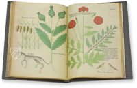 Sloane Tractatus de Herbis – M. Moleiro Editor – Sloane MS 4016 – British Library (London, United Kingdom)