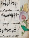 Song Book of Joan the Mad – Patrimonio Ediciones – Ms. IV 90 – Bibliothèque Royale de Belgique (Brussels, Belgium)