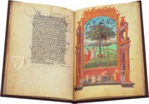 Splendor Solis - Sonnenglanz – Coron Verlag – Cod. 78 D 3 – Kupferstichkabinett (Berlin, Germany)